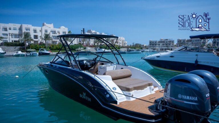 WhatsApp Image 2025-09-25 at 4.53